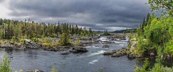 Rushing river rapids flowing through Lapland forest landscape