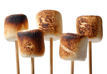 Five perfectly toasted marshmallows on sticks ready for s'mores or campfire enjoyment