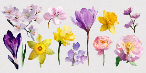 A beautiful and diverse collection of flowers painted in watercolor, featuring various species including daffodils, roses, tulips, and cherry blossoms.