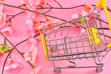 カートと桜で新生活の買い物のイメージ