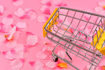 カートと桜で新生活の買い物のイメージ