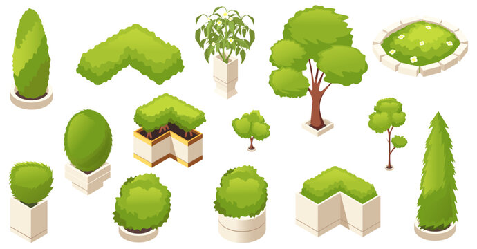 Set of various isometric trees, bushes, and shrubs in planters on white background. Concept for landscape design and urban planning. Vector illustration