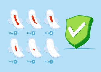 Menstruation cycle with with green check mark. System in normal. Critical days. Vector female health illustration.
