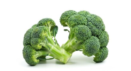 Two fresh broccoli florets with green stalks, isolated against a white backdrop
