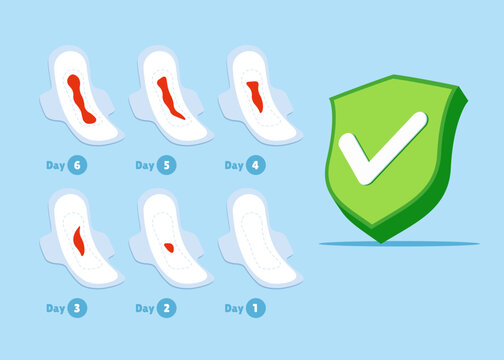 Menstruation cycle with with green check mark. System in normal. Critical days. Vector female health illustration.