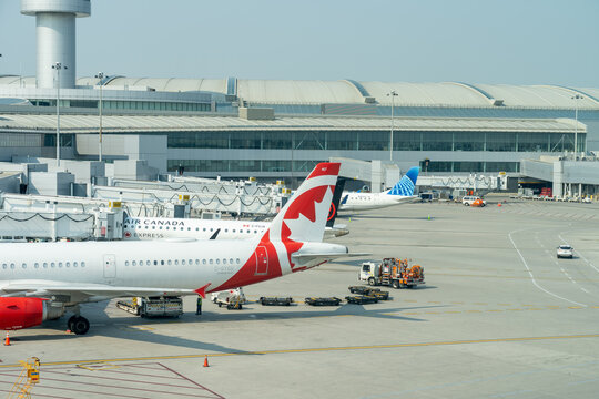 Mississauga, ON, Canada - September 13, 2024: Air Canada planes parked at Toronto&rsquo;s Pearson International Airport in Mississauga, ON, Canada. Air Canada is Canada's largest airline.