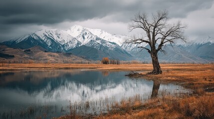 Fototapeta premium Old tree stands at the edge of a lake with snowcapped mountains in the distance under a cloudy sky in bavaria, germany