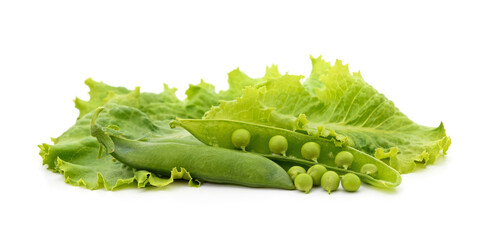 Fresh green peas in pods on a bed of lettuce leaves.