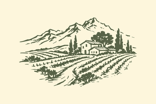 Vineyard landscape with farmhouse vintage sketch vector illustration