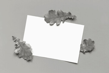 Mockup. White sheet of paper and fallen autumn oak leaves on Gray background. Demonstrating color of 2026 year, Cloud, Dancer