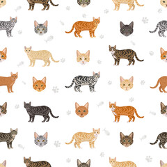 Domestic shorthair Cat clipart. All coat colors set. Vector illustration