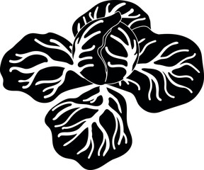 Fototapeta premium Black silhouette of cabbage isolated on white background
