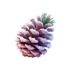 Snowy pink pinecone on black background, frosty winter nature