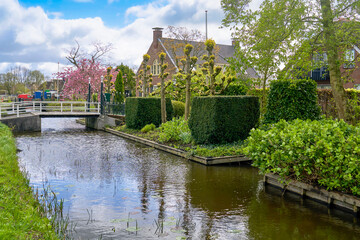 Fototapeta premium View in peaceful Dutch countryside on a spring day