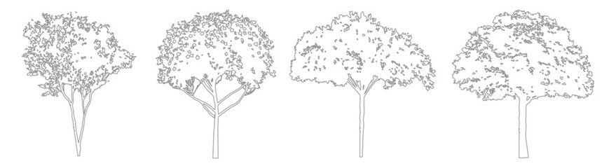 CAD Tree Side Elevation Drawings, Minimal Line Vegetation for Architecture and Landscape Plans