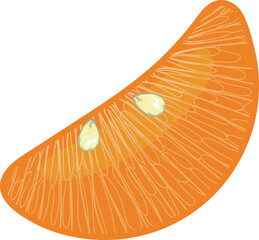 Orange slice on white background