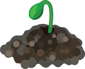 Sprout of plant with cotyledon isolated on white background