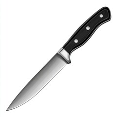 Stainless Steel Knife with Black Handle