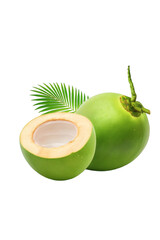 Fresh Green Coconut with Half Isolated on Transparent Background
