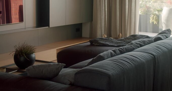 Modern living room interior with comfortable sofa, soft pillows, blanket and houseplant. Stylish minimalist apartment design with elegant furniture. home space with natural light and warm atmosphere.