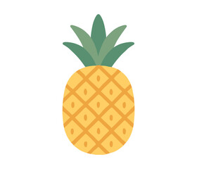 Colorful flat design pineapple with geometric pattern on white background
