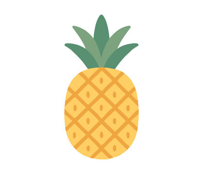 Colorful flat design pineapple with geometric pattern on white background