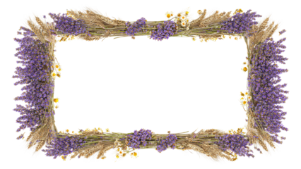 Floral frame with lavender, wheat and daisy flowers