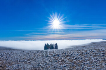 A sunny winter scene above a layer of low-hanging clouds or fog. A stunning mountain landscape with a cloud inversion during a sunny, frosty day
