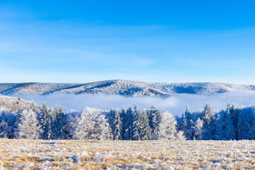 A stunning winter landscape featuring snow-covered mountains, frosted trees, and a layer of fog blanketing the valley under a clear blue sky.
