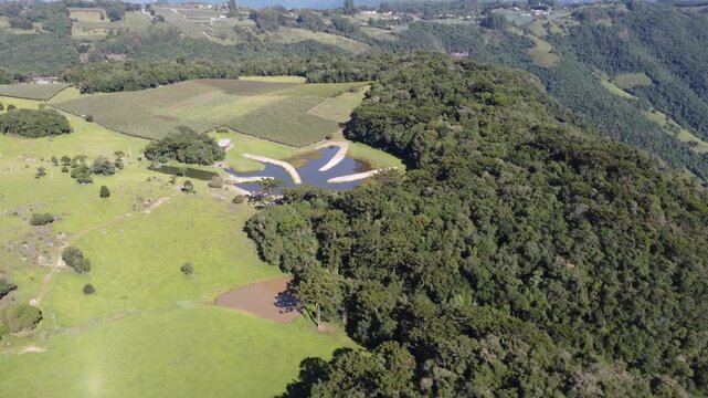 Drone footage of rural Flores da Cunha landscape with valleys, araucaria trees and lush nature during autumn, scenic countryside view in Serra Gaucha, Brazil