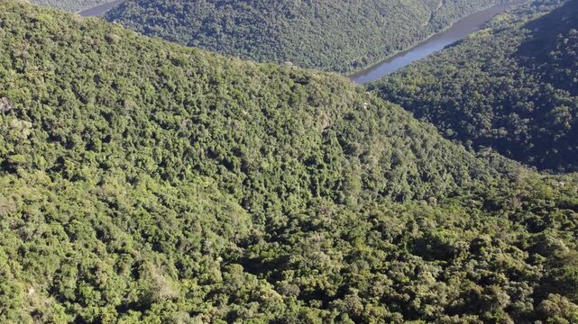 Drone footage of Gelain viewpoint showing the horseshoe bend of Rio das Antas on a bright sunny day, scenic natural landscape in Flores da Cunha, Serra Gaucha, Brazil