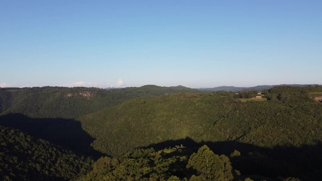Drone footage of rural Flores da Cunha landscape with valleys, araucaria trees and lush nature during autumn, scenic countryside view in Serra Gaucha, Brazil