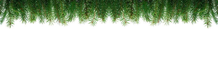 Christmas tree branches in PNG format, isolated on a white background. Detailed, high-quality image. Perfect for holiday decor.