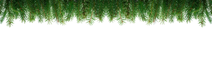 Christmas tree branches in PNG format, isolated on a white background. Detailed, high-quality image. Perfect for holiday decor.