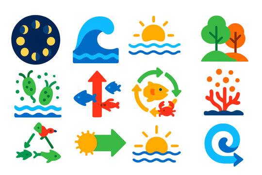 Vibrant Marine Icons. Flat vector icons of Marine Cycles: lunar cycle, tidal wave, sun path, seasonal change, plankton bloom,