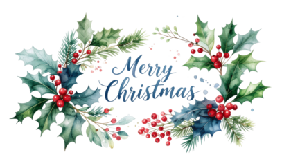 Merry Christmas greeting text in calligraphy, framed by a beautiful watercolor illustration of holly leaves, red berries, and pine branches. Festive winter holiday design with transparent background.
