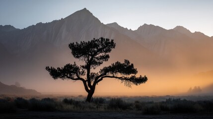 Obraz premium A tree stands alone against a backdrop of mountains at sunrise. The valley is filled with mist creating a natural scene with soft light. The moment captures the start of a new day.