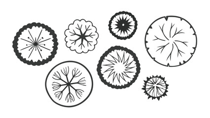 Hand-Drawn Top View Tree Vector Illustration, Overhead Tree Canopy Symbols for Landscape and Site Plan Design black and white