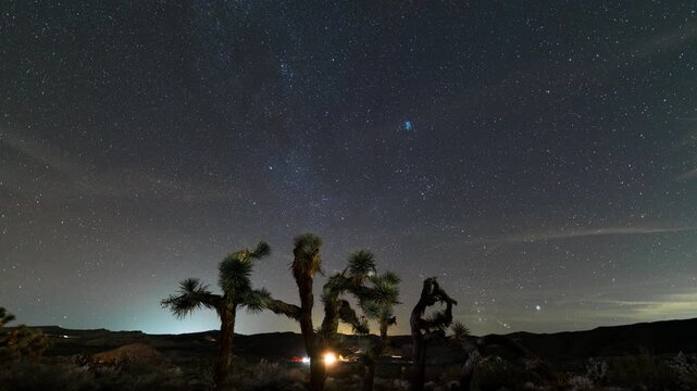 Timelapse of Geminids Meteor Shower over Joshua Tree in Mojave Desert in California, USA