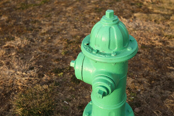 Green fire hydrant on dry grass ground. Urban safety infrastructure detail. Metal hydrant closeup outdoors. Public water supply equipment. Emergency firefighting symbol in city environment.