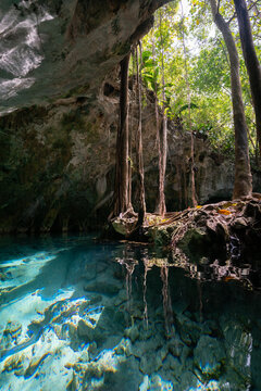 Stunning natural beauty of Tulum Cenote, Mexico