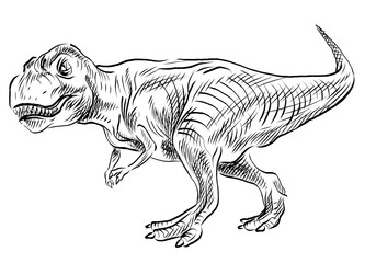 Sketch-style illustration of a Tyrannosaurus Rex. © Rob