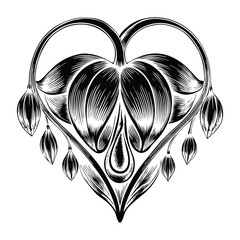 Vector Illustration of Bleeding Heart Flower with Gradient Pink Petals and Realistic Leaves Isolated on White Background for Design Use