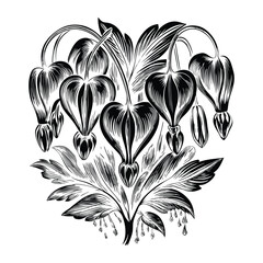 Vector Art of Bleeding Heart Flower with Delicate Pink Petals and Green Leaves Isolated on Transparent Background for Print and Digital Use