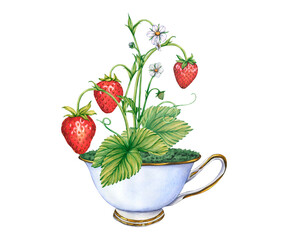 Strawberry branches with whole strawberries in Ceramic porcelain cup. Watercolor illustration of lite blue antique cup with strawberry bush and ripe berries strawberries. Fresh Summer Fruit in a mug