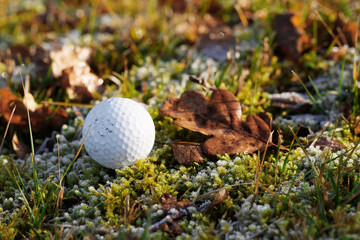 Used golf ball that finds itself in a difficult situation after the shot that every golfer knows