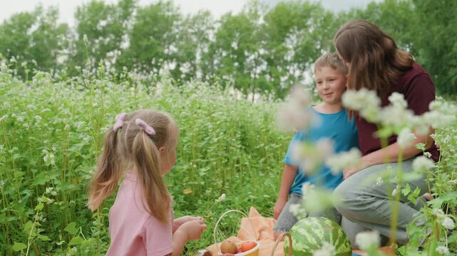 kids sharing watermelon near wildflowers, mother smiling while children pass juicy slices, boy kneeling on blanket and girl giggling, sunlit meadow, rustic fruit basket, outdoor snack time, candid