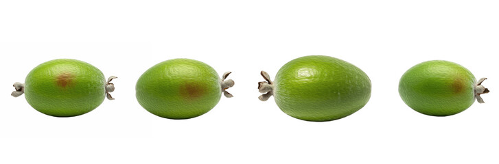 Set of Four Feijoa / Pineapple Guava (Acca sellowiana) in Natural Arrangement, Isolated on Transparent Background, Oil Paint