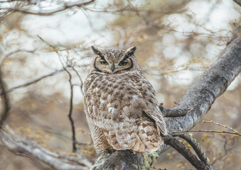 Tucúquere, Magallanes, Chile