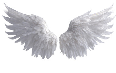 Obraz premium Ethereal white feathered cupid wings arranged artistically in controlled studio lighting for celestial symbolism imagery isolated on transparent background PNG